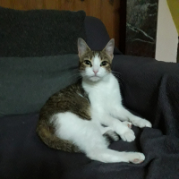 Photo #280531 de MA MINETTE