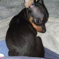 Photo #280560 de ROXIA