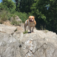 Photo #280565 de Nacho
