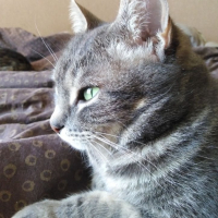 Photo #280579 de Pipelette