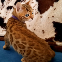 Photo #280604 de Ria de Wonderfullarche 