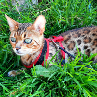 Photo #280621 de Ria de Wonderfullarche 