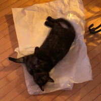 Photo #281190 de Imothep