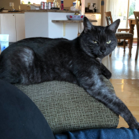 Photo #281193 de Imothep