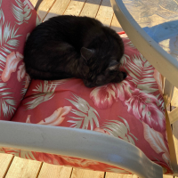 Photo #281199 de Imothep