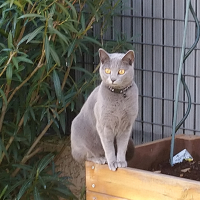 Photo #281337 de Orelie
