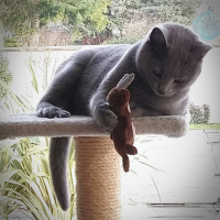 Photo #281340 de Orelie