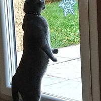 Photo #281343 de Orelie