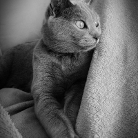 Photo #281346 de Orelie