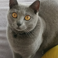 Photo #281349 de Orelie
