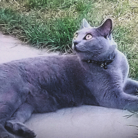 Photo #281352 de Orelie