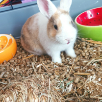 Photo #281376 de Tina 