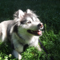 Photo #281541 de Rakkaus