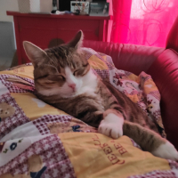 Photo #281646 de Philou