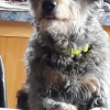 Photo #281754 de Linka