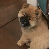 Photo #282018 de Maverick 