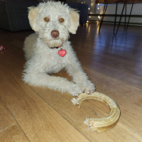 Photo #282282 de Billy