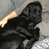 Grosse sieste avec sa maman