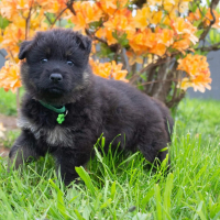Photo #283065 de Talos