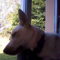 Photo #283371 de tiana