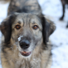 Heureuse dans la neige