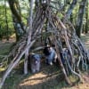 Cabane dans les bois