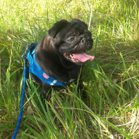Photo #283845 de Joyce