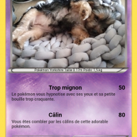 Carte pokémon de Lady