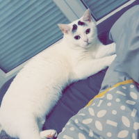 Photo #284235 de Lizzy