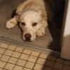 Photo #284277 de Truffe