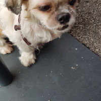 Photo #284292 de LUNA