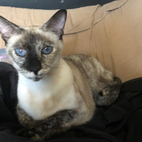 Photo #284307 de Mika