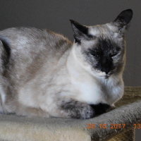 Photo #284310 de Mika