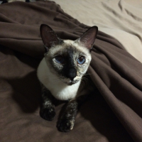 Photo #284313 de Mika