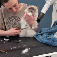 Photo #285120 de Lignereux