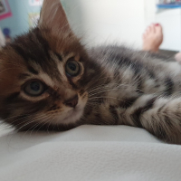 Photo #285660 de Uno