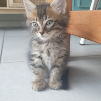 Photo #285663 de Uno