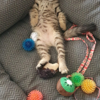 Photo #285672 de Uno