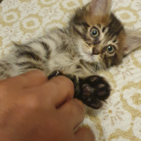 Photo #285675 de Uno