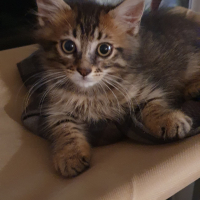 Photo #285678 de Uno