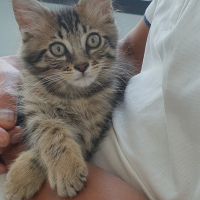 Photo #285681 de Uno