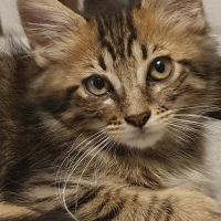 Photo #285684 de Uno