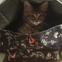 Photo #285690 de Uno