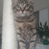 Photo #285693 de Uno