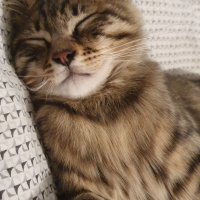 Photo #285699 de Uno