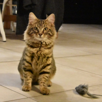 Photo #285711 de Uno