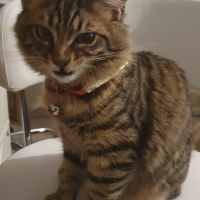 Photo #285717 de Uno