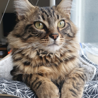 Photo #285723 de Uno