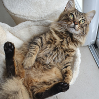 Photo #285726 de Uno