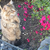 Photo #285732 de Uno